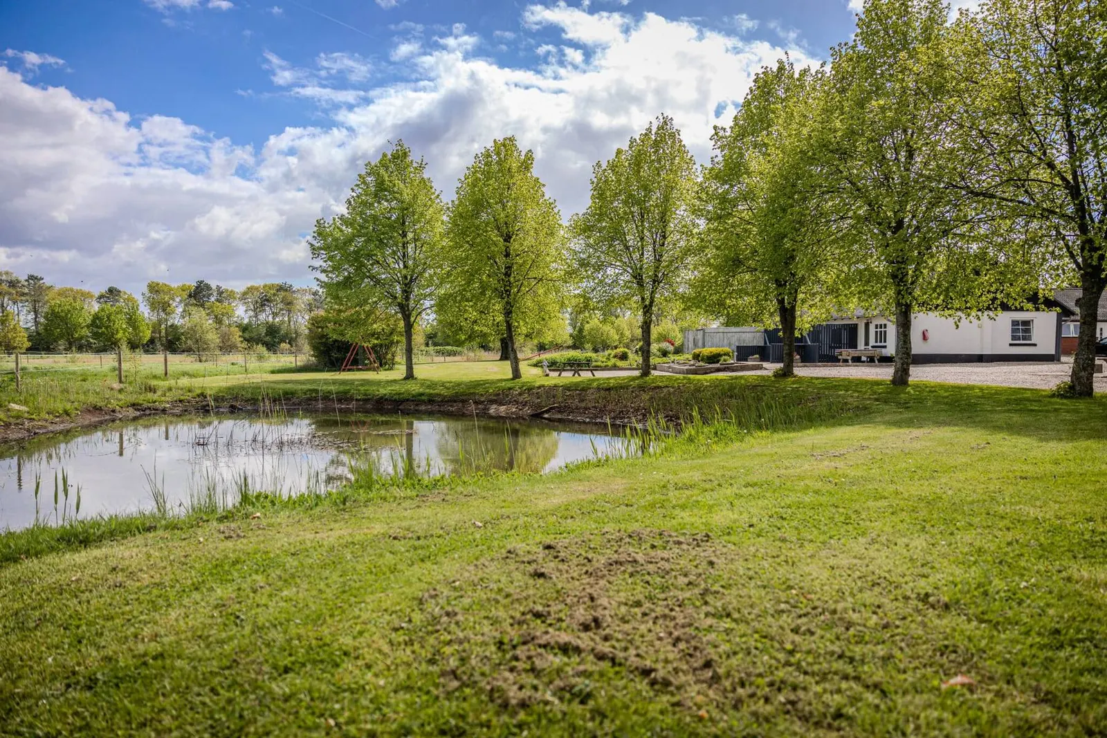 Søen og træerne på naturgrunden